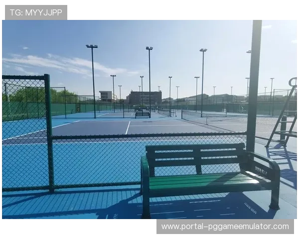 法甲球场设施升级计划公布，VAR技术适配成重点投入